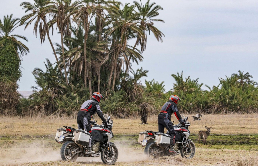 Multistrada V4 Rally